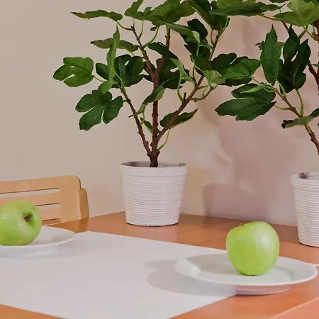 Apartament Tww Lubicz