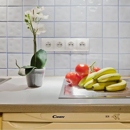Tww Lubicz Apartament *